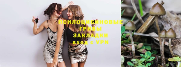 спиды Алексеевка