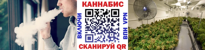Шишки марихуана OG Kush Макушино